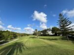 Lush golf course featuring palm trees and Mediterranean landscapes