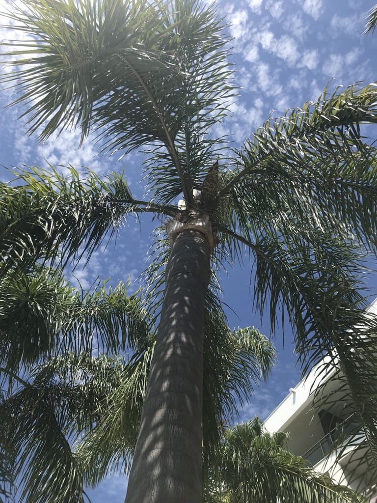 Bungalows for sale in spain near the sea